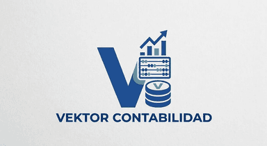 Vektor Contabilidad